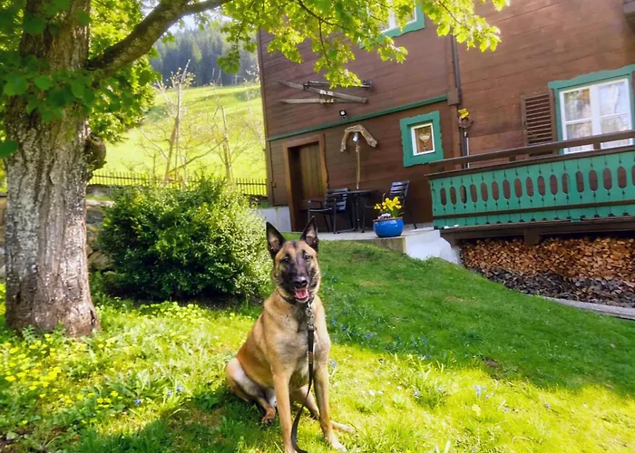 Feriehus Anna Bramberg Bramberg am Wildkogel