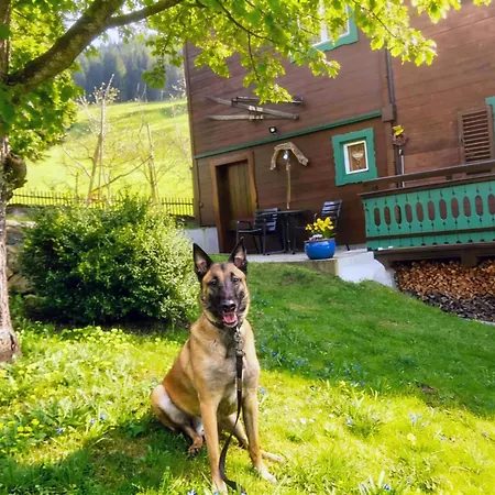 Tatil Evi Anna Bramberg Bramberg am Wildkogel